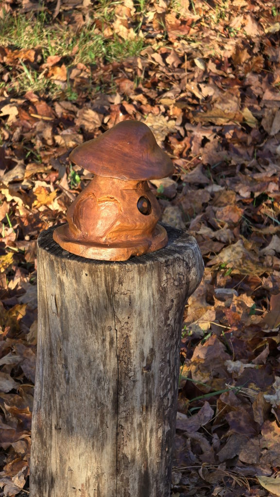 Little Mushroom House